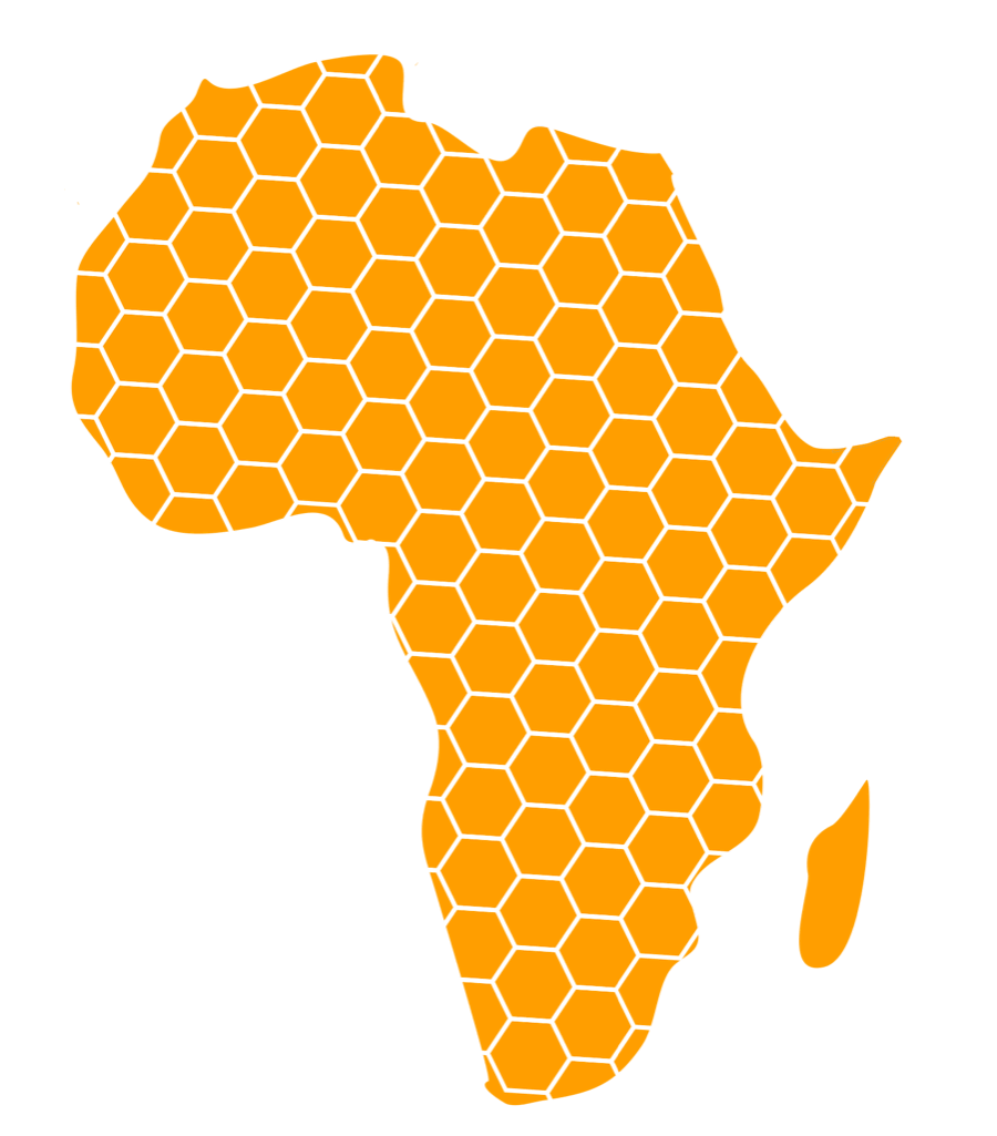 The continent of Africa drawn as a honeycomb, each cell an autonomous district