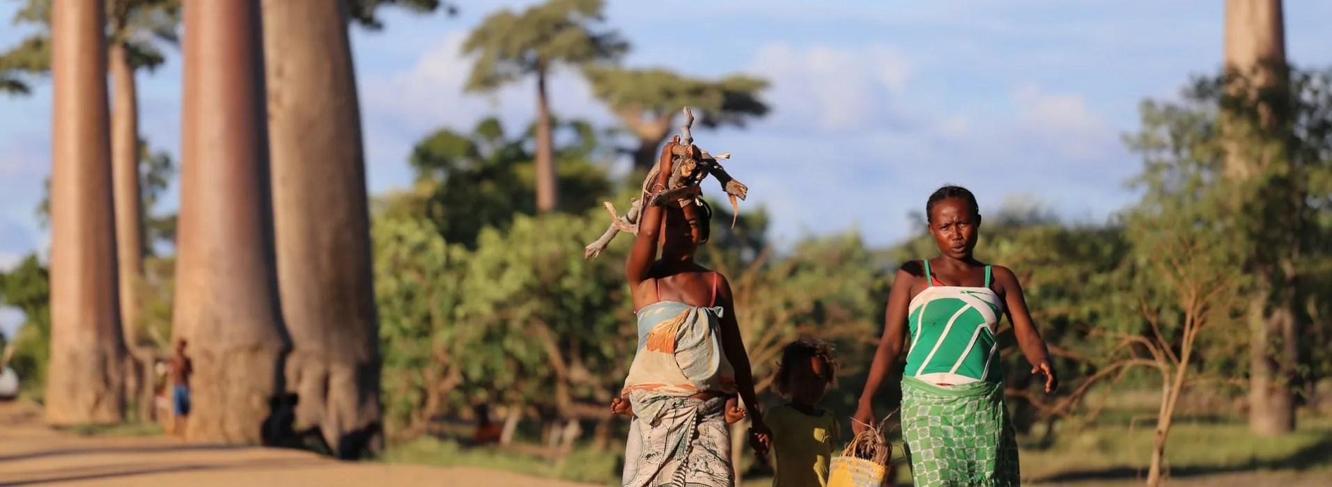 Two women and a child walking a dirt road lined with baobab trees, one carrying firewood on her head