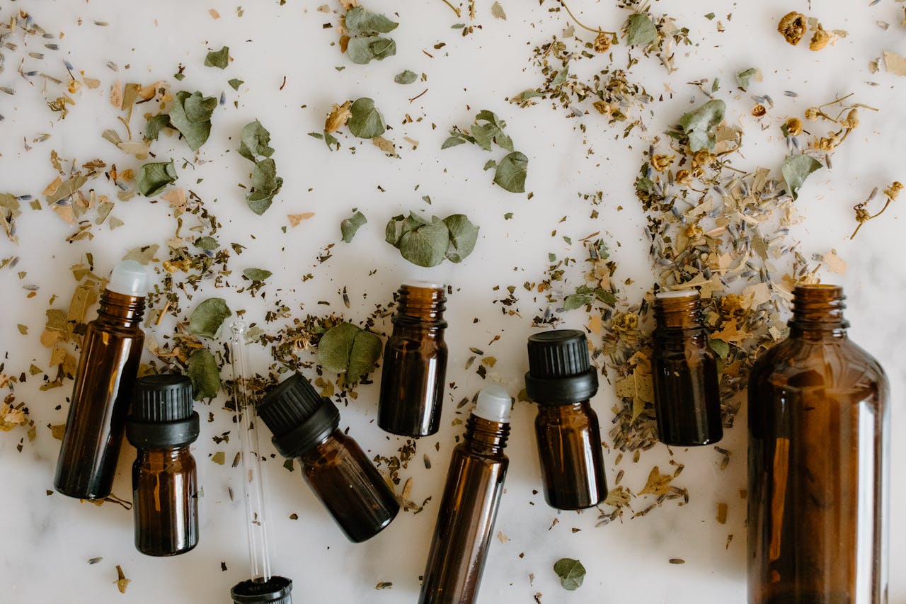 The United States of Africa: Revolutionizing Healthcare Through Naturopathy and Afrotherapy