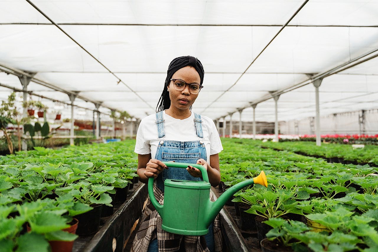 Revolutionizing African Agriculture: A Vision for Sustainable Growth and Prosperity