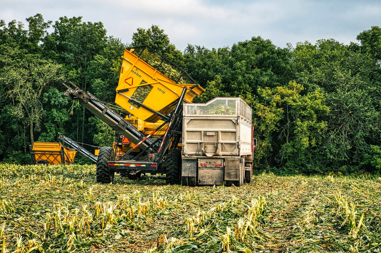 Revolutionizing Education Funding in Africa with Agro-Industrial Complexes