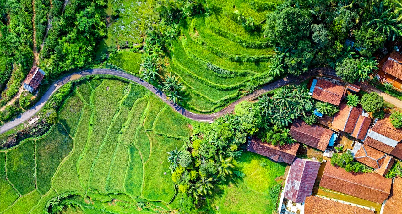 Empowering Africa Through Cooperative Economics: A Vision for Shared Prosperity